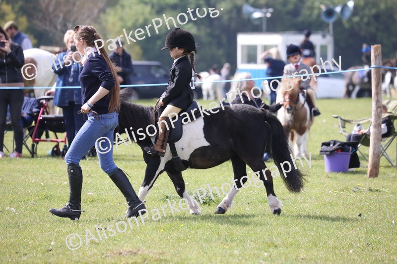 20260426-2539 - Class 31 - Leading Rein
