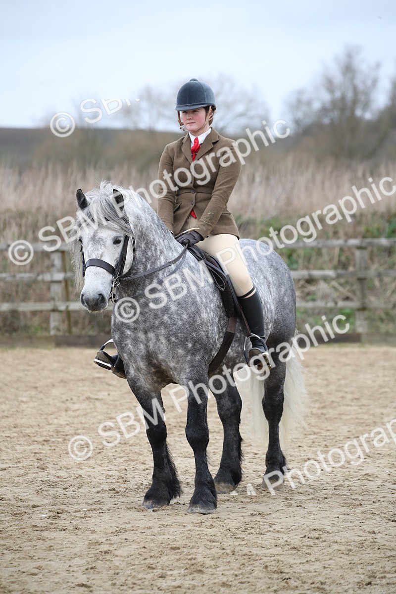 SBM_006431 - Class 10-13 - RIHS Small Large Breeds