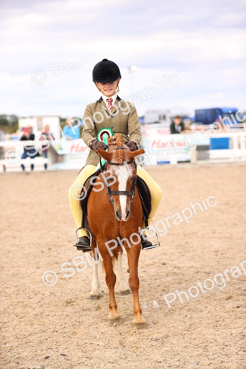 SBM_18117 - Class 422 - Equitation (Best Rider) Jnr