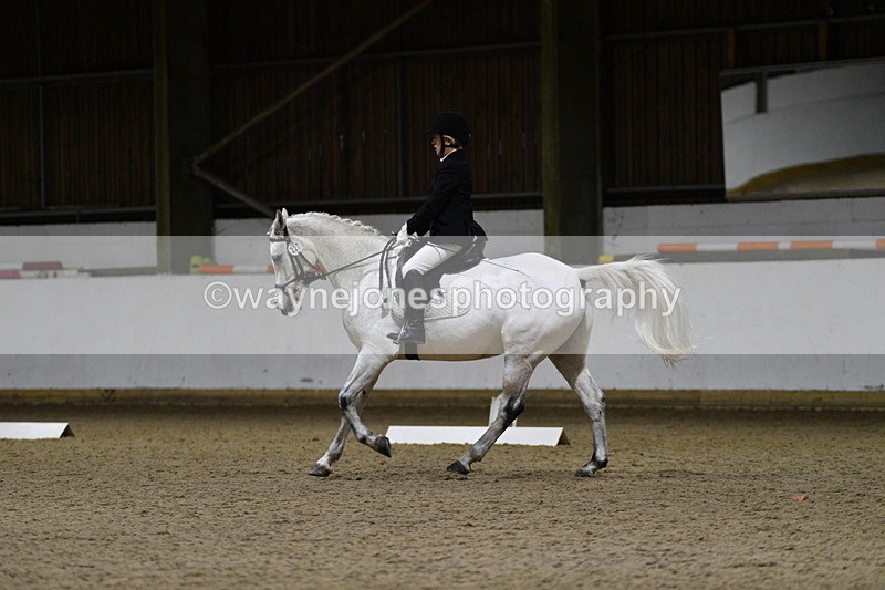WJ5_8804 - Class 5 Novice Test 3