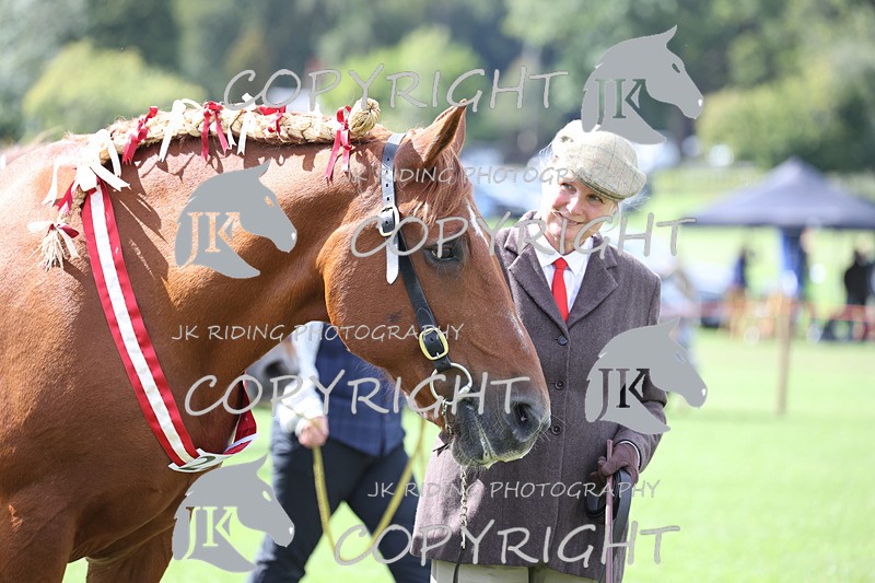 APP_3264 - Class 4 Veterans