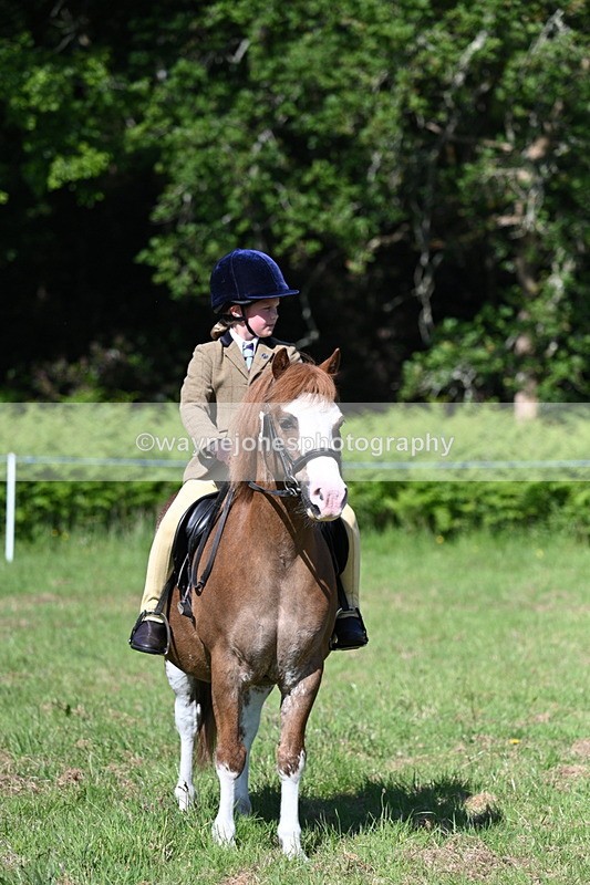 WJ7_0505 - Class 8 First Rally Pony