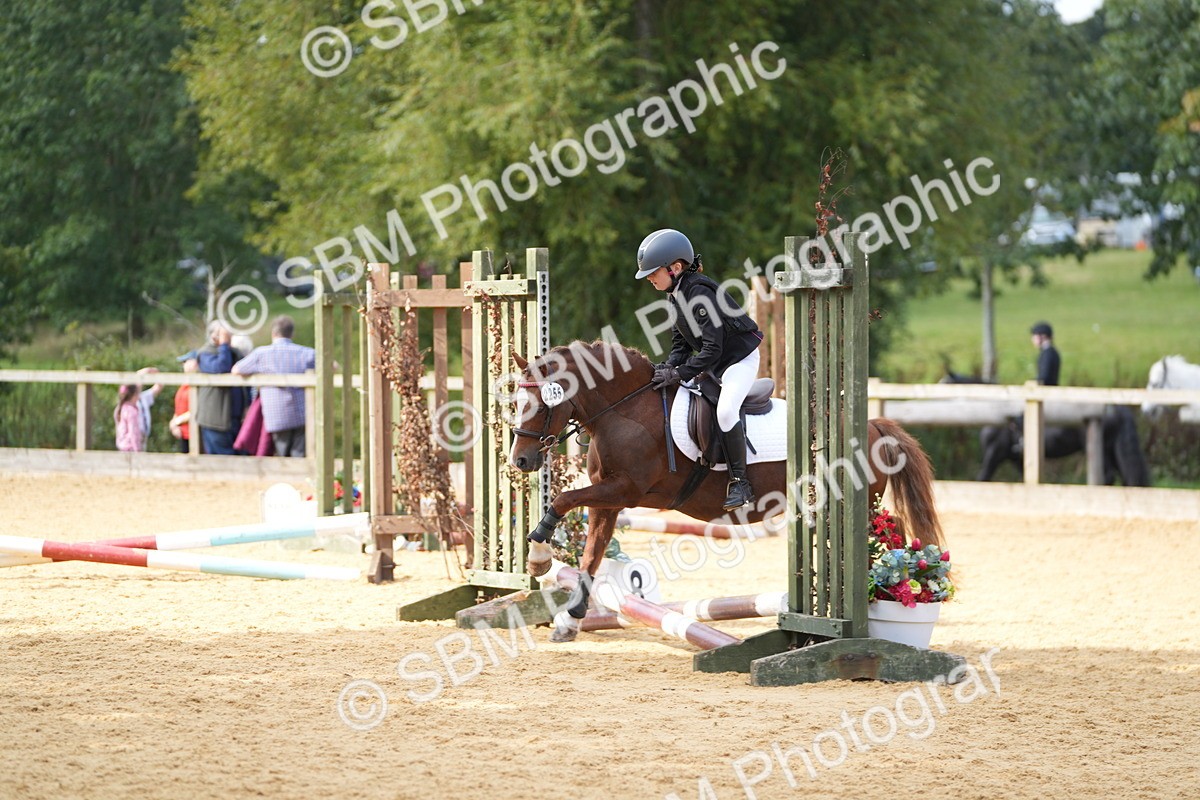 SBM_64385 - J2 - Mini Tour Junior Pony 30cm Championship