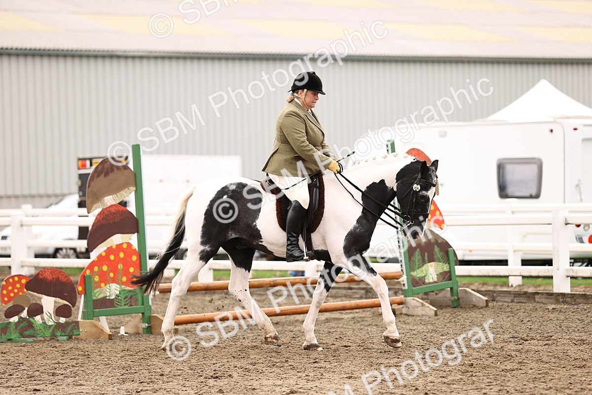 SBM_01345 - Class 54 - Riding Club Horse Pony