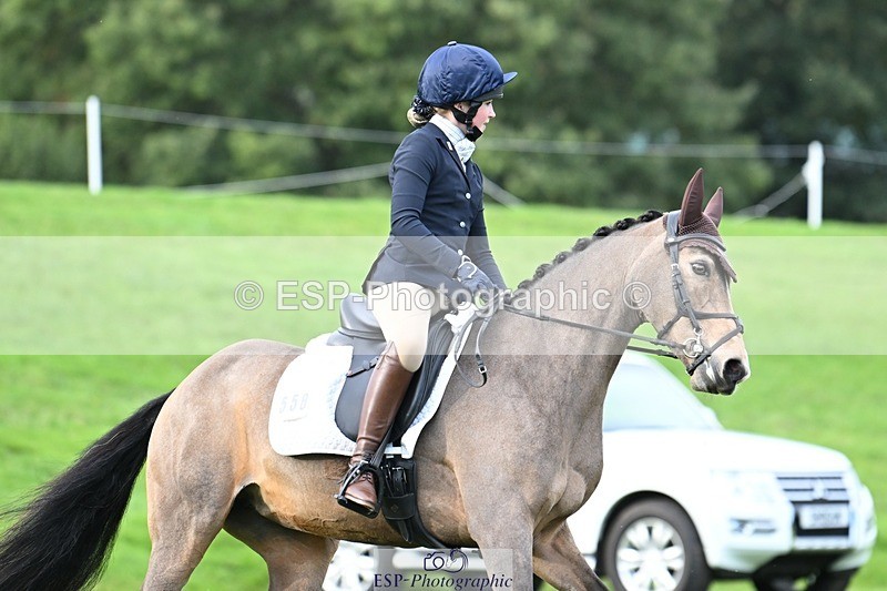 231020-161446-11642 - 558-BATHLEYHILLS.GOLDEN.SPRAY-Cleo.Whitbread-DR