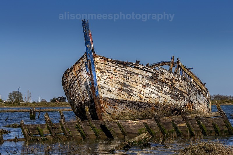  - Landscapes & Seascapes