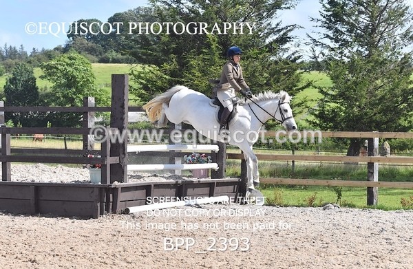 BPP_2393 - DERBY CLASS 7 - 80CM