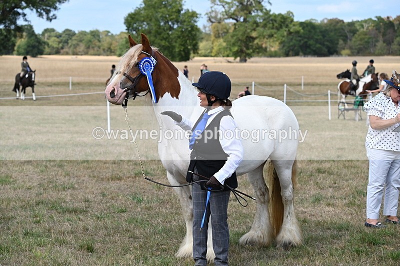 WJ6_6715 - Class 20 In-hand Cob