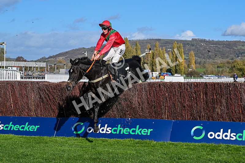 241025-Race 2-Cloonainra-2618 - Race 2