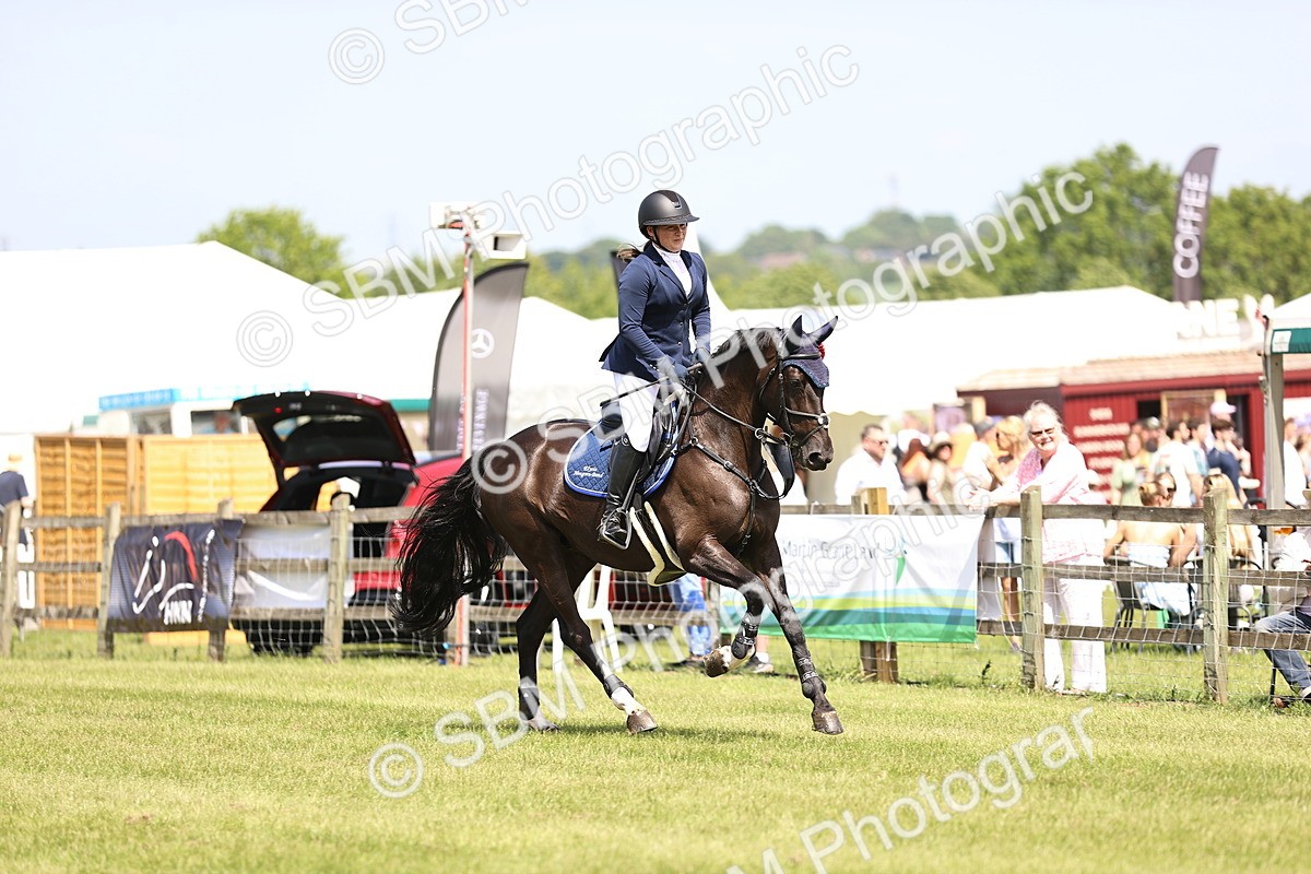SBM_04089 - Class 201 - British Horse Feedds Speedi Beet HOYS Grade C