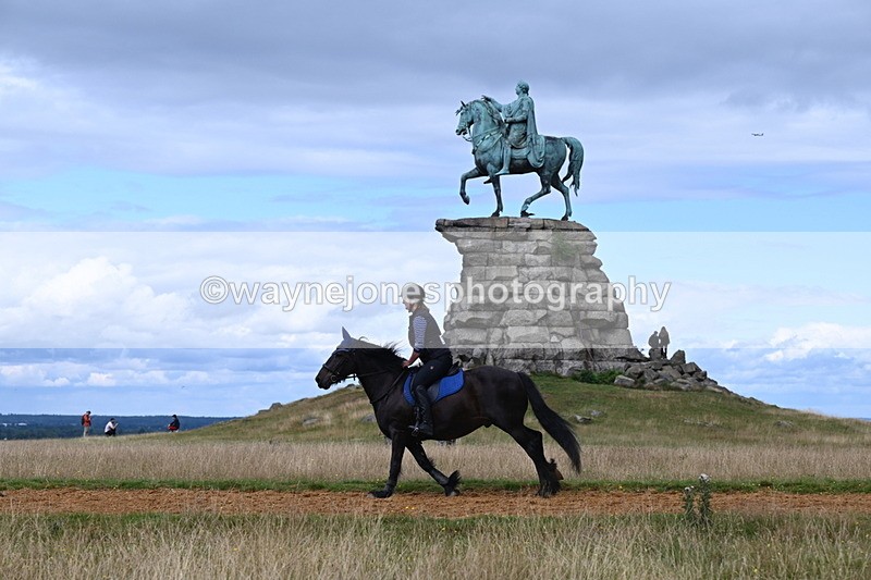 DSC_8723 - Time at Statue 13:52 to 14:33