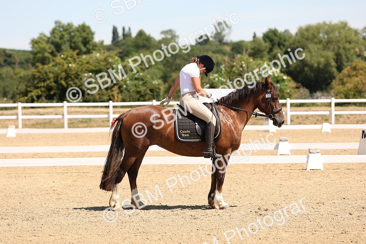 SBM_001309 - Intro 2