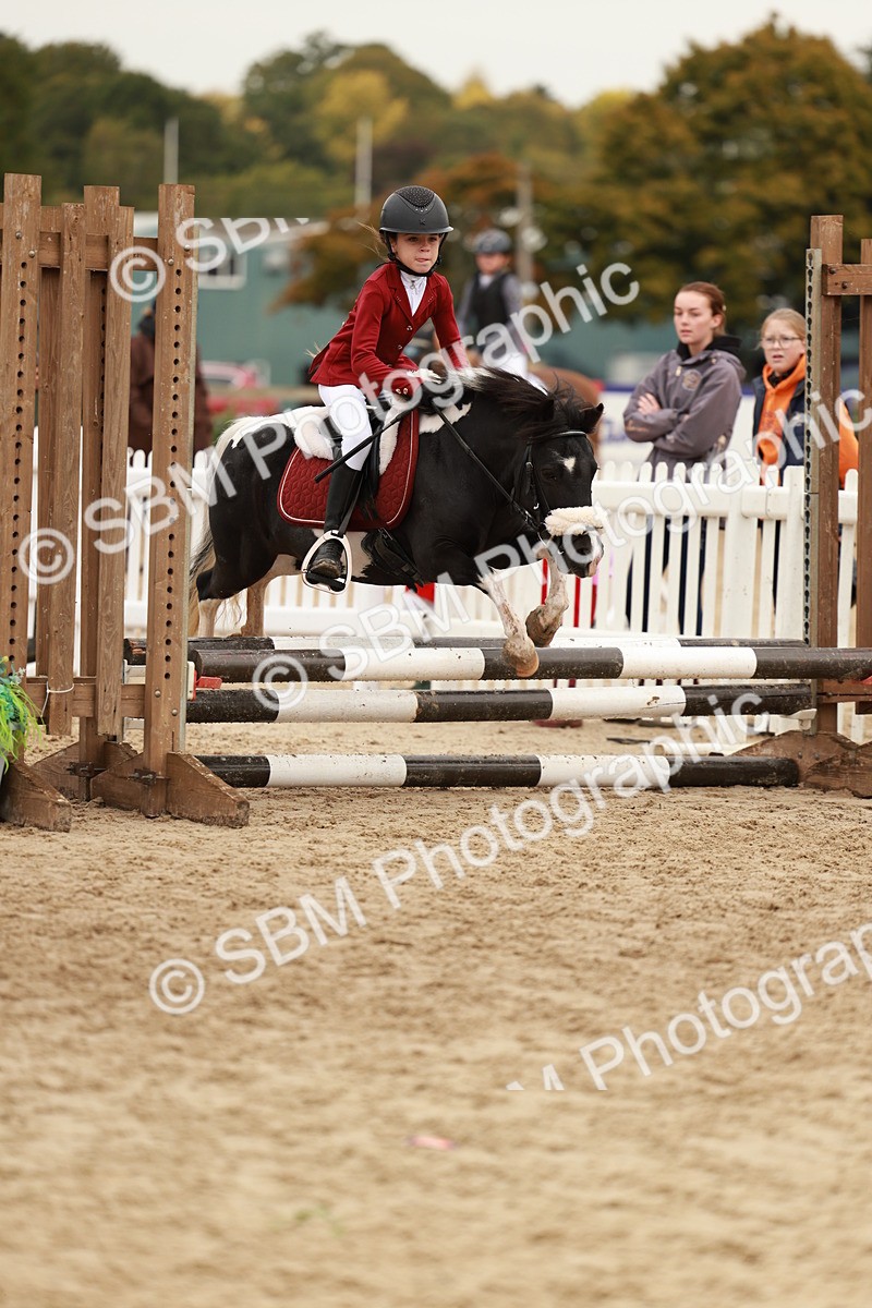 SBM_57930 - J11 - Junior Pony 50cm Championship