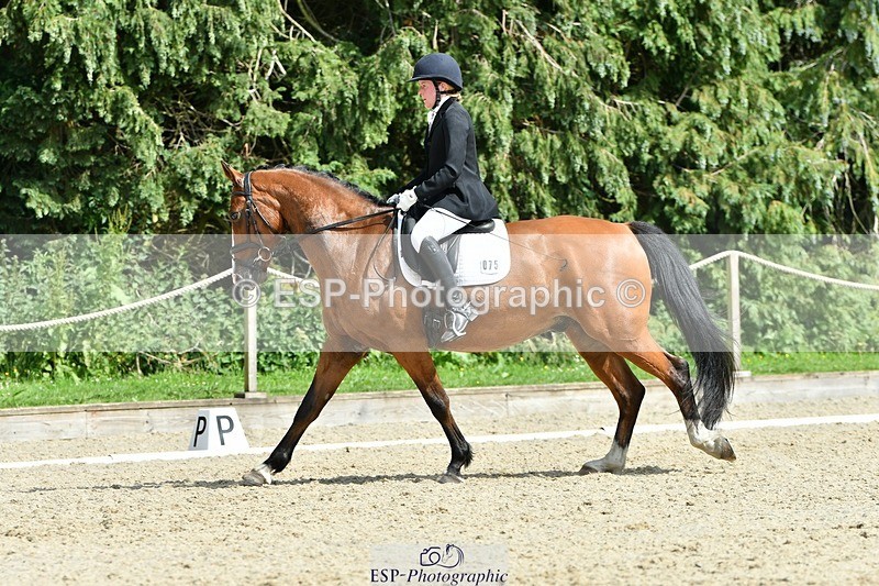 230623-154628-01180 - Cls 7 Medium 69