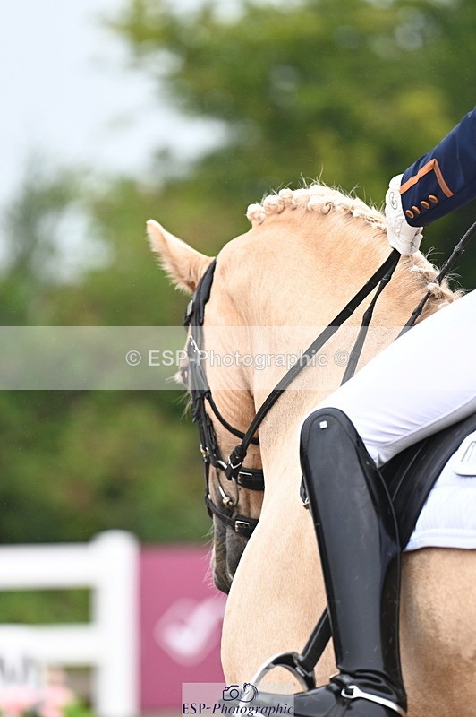 240815A-111741-00266 - 165-Louisa.Julie.Brend-Cynheidrefawr.gerwyn