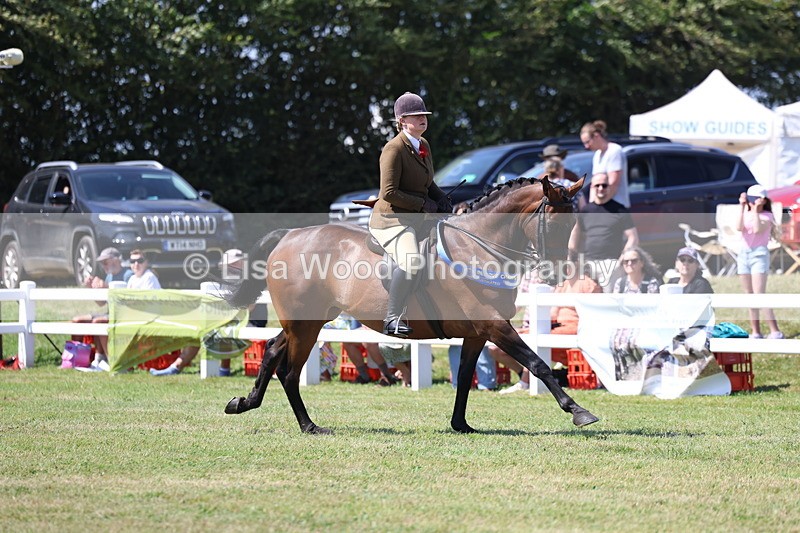3E7A7647 - Rising Star Ridden Championship
