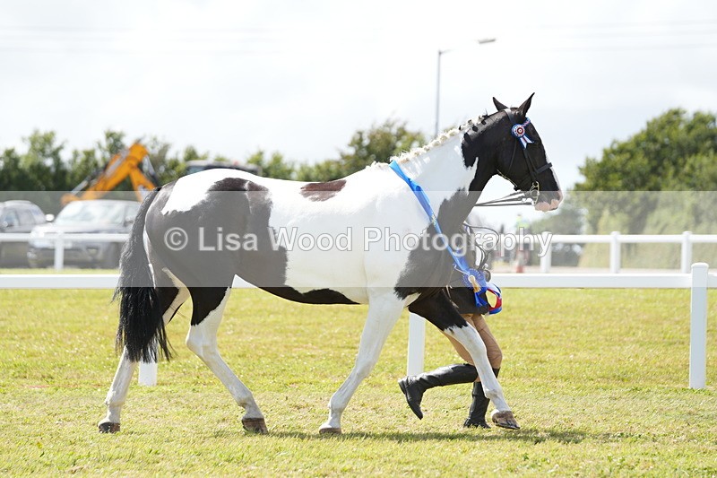 DSC07248 - Coloured Horse In Hand Championship