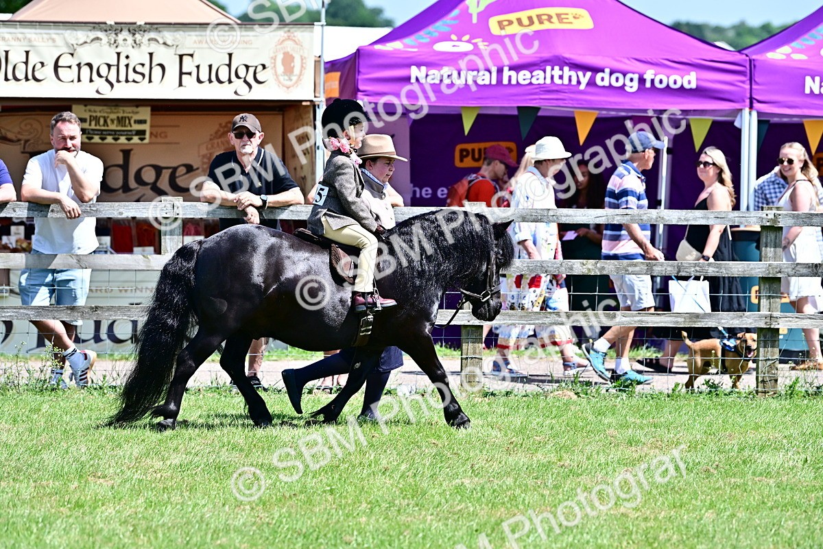SBM_05760 - Class 59-60 - TSR M&M  Lear Rein and First Ridden Amateur of the year