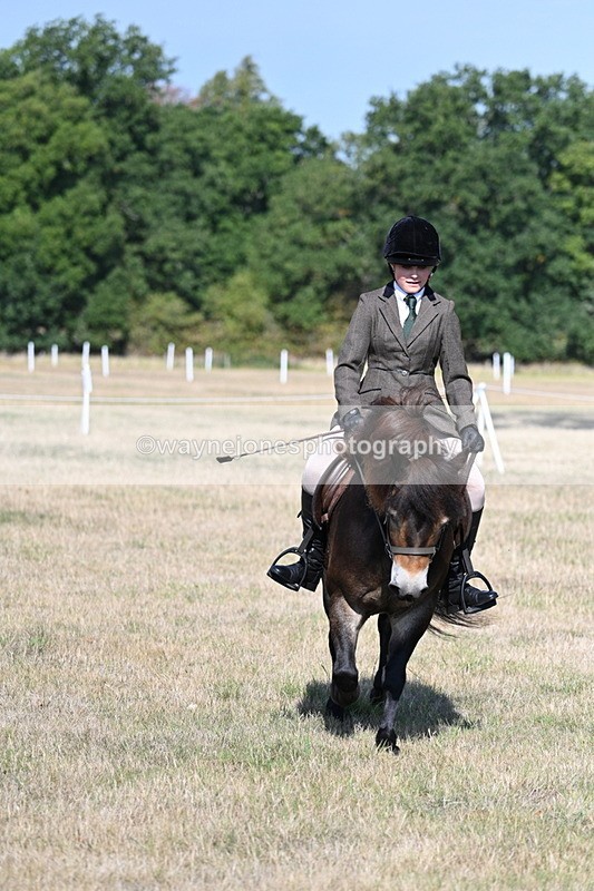 WJ7_2932 - Class 8 Ridden Tack & Turnout