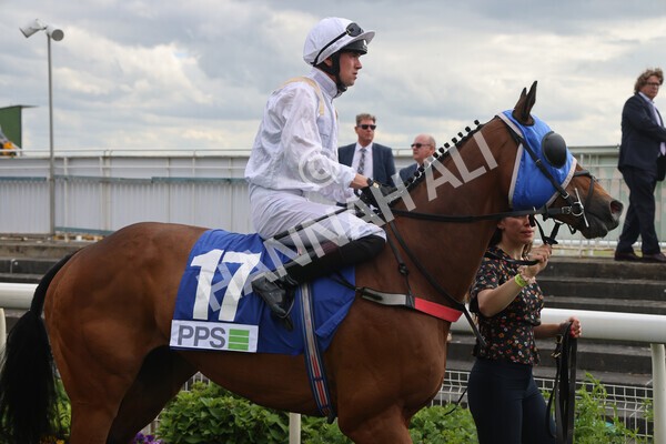 yr11062022r8-9 - Race 8 5.25pm Clean up with PPS Stakes