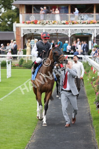 yr19082021r6-2 - Race 6 4.45pm British EBF & Sir Henry Cecil Galtres Stakes