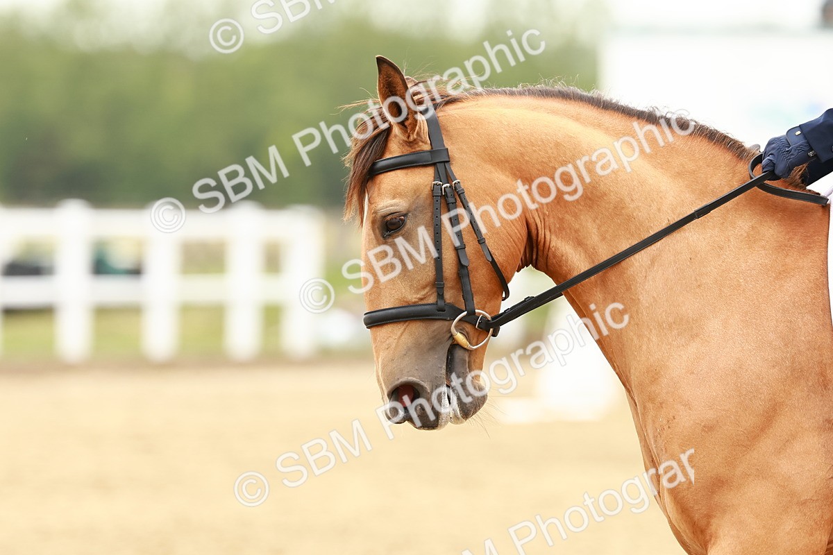 SBM_001042 - Class 6 - Novice 4