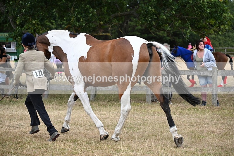 WJ6_8159 - Class 10 Coloured in Hand