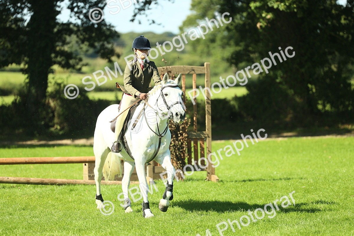 SBM_39130 - S29 - Novice & Newcomers Working Hunter Pony
