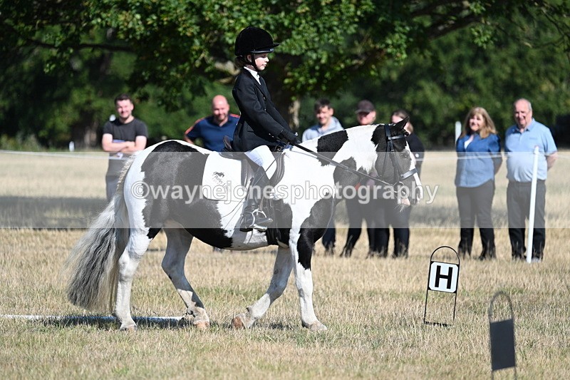 WJ7_9403 - Time 10:08 to 10:13