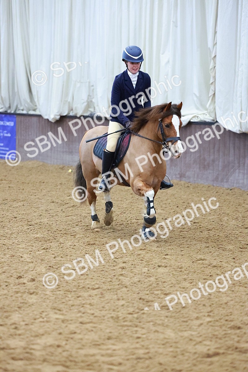 SBM_000406 - Class 19 - 50cm