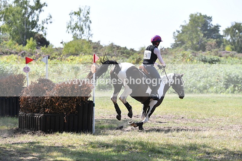 WJ5_3203 - XC Time 13:03 to 13:28