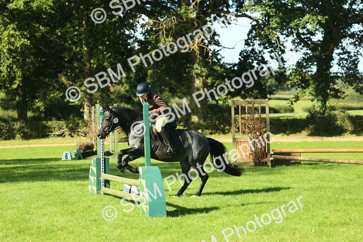 SBM_36467 - S29 - Novice & Newcomers Working Hunter Pony