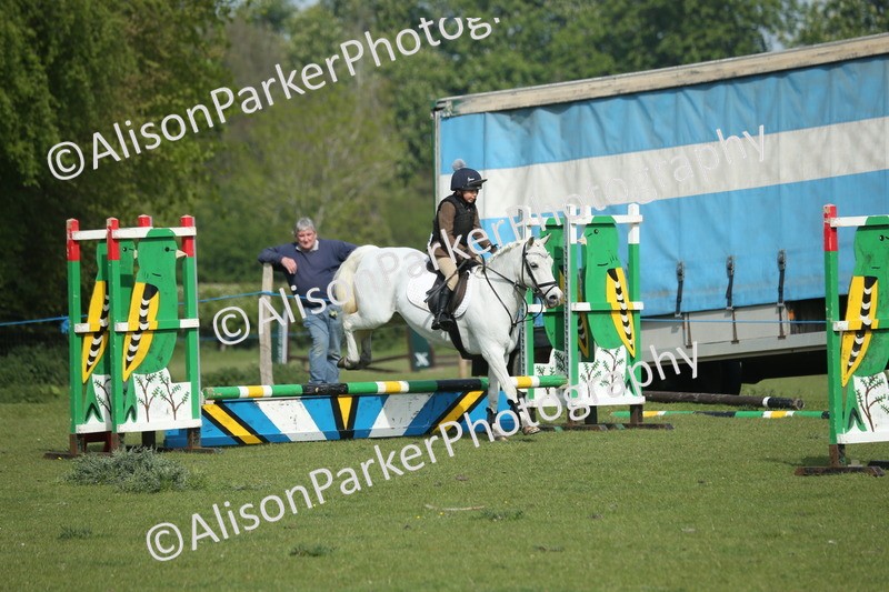 20260426-0217 - Class 13 - Rookie Jumping 50cm