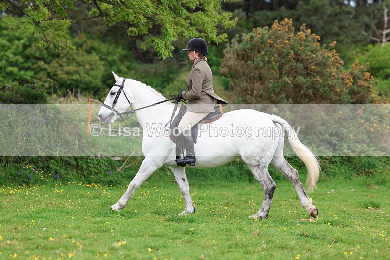 3E7A1262 - Class 7: Ridden Hunter Type