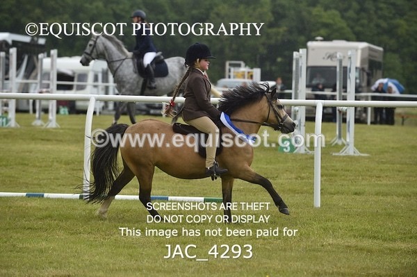 JAC_4293 - WORKING HUNTER CHAMPIONSHIP