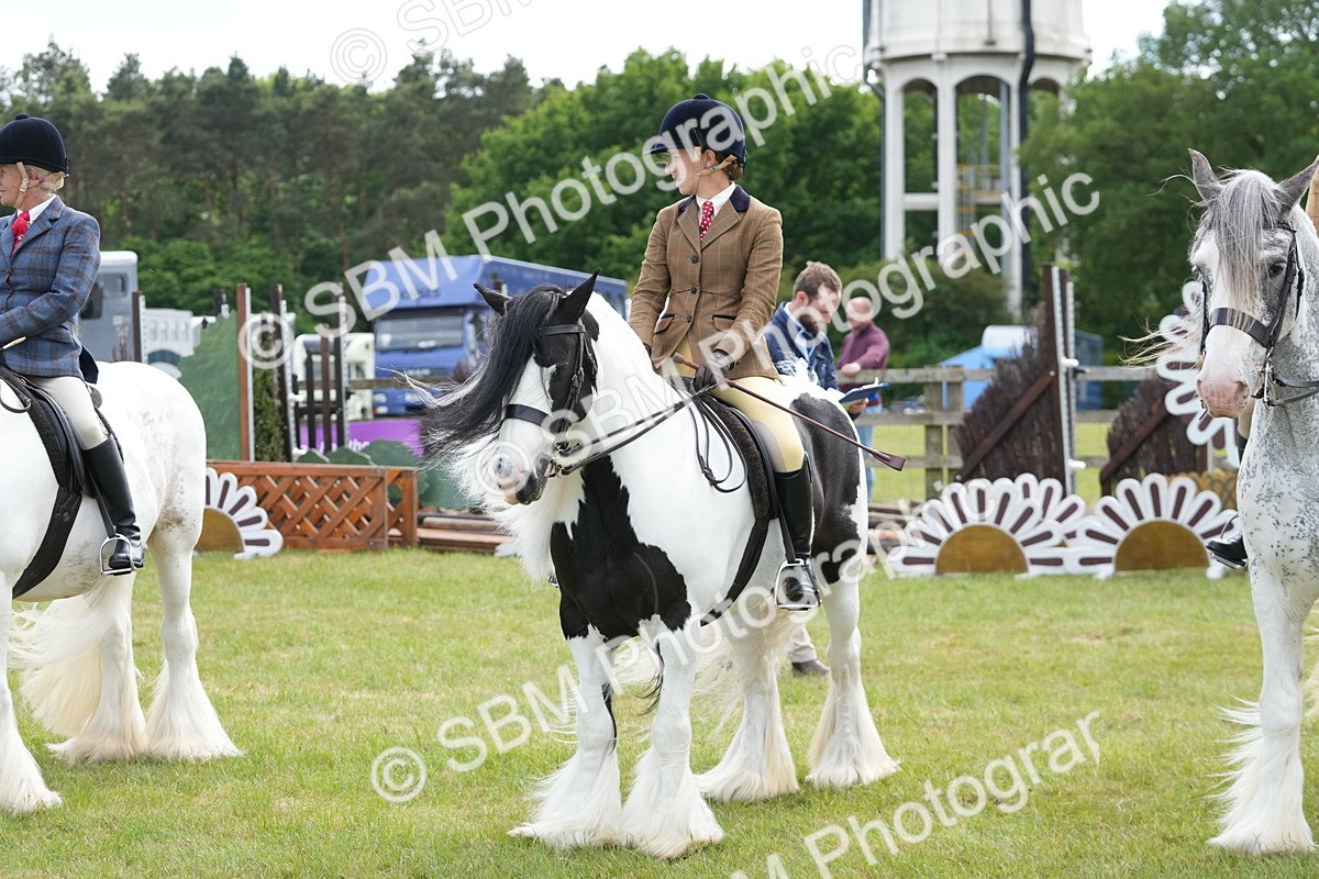 SBM_17313 - Class 107-108 - LIHS BSPS Performance Coloured Horse Pony