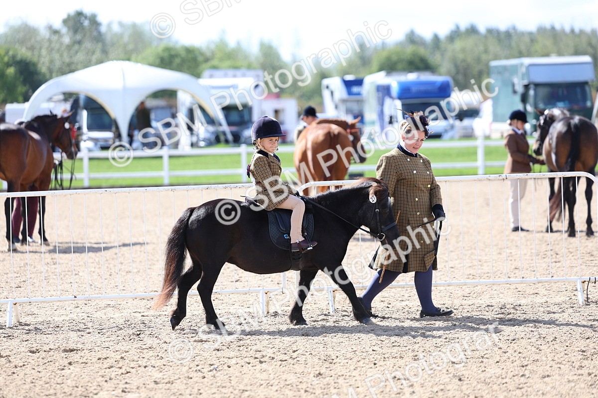 SBM_13011 - Class 309 - Lead Rein Pony