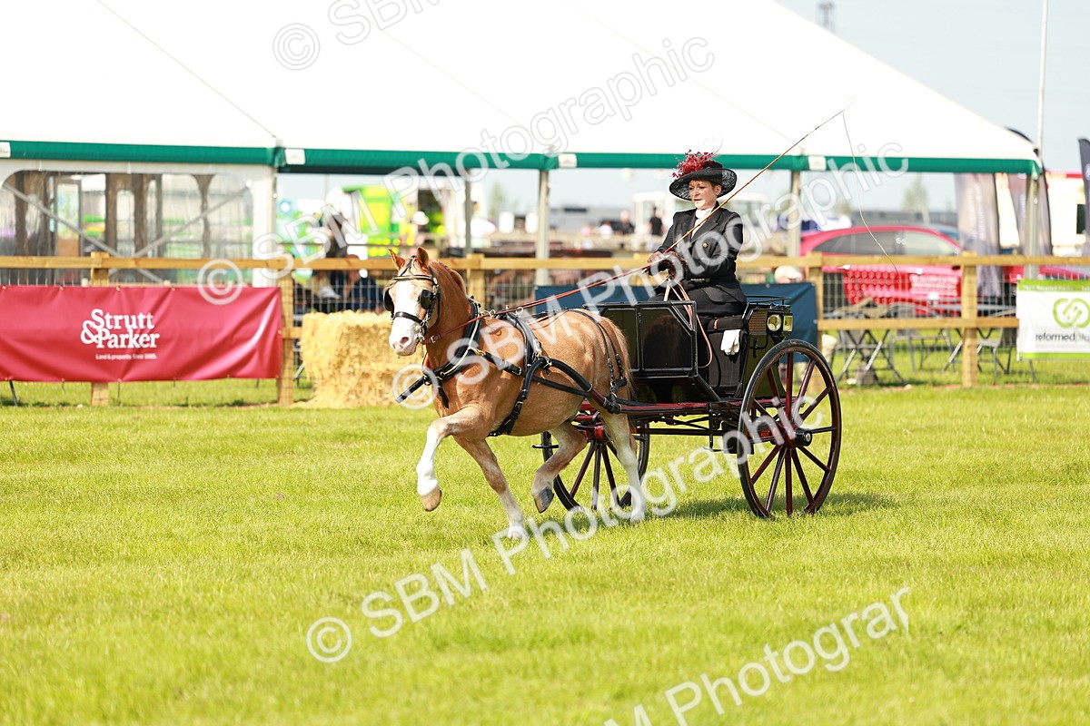 SBM_02674 - Class 2-4 - HOYS Private Driving