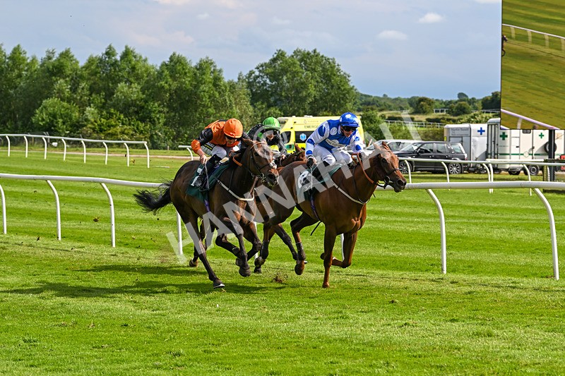 180624-Race 5-Sea The Dream-0573 - Race 5