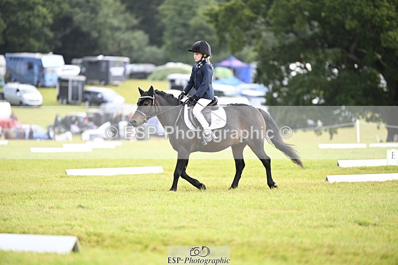 240824X-110409-25694 - D80 Section E and F 11.00 to 12.00