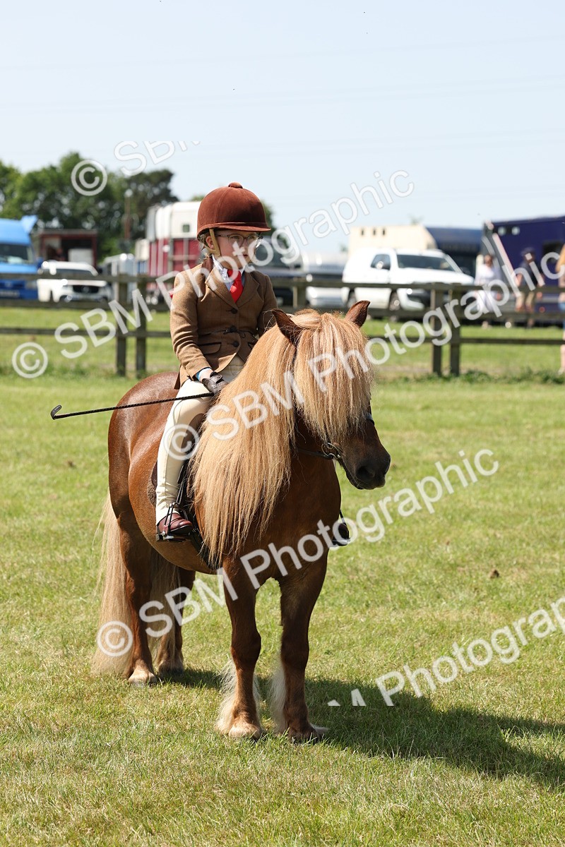 SBM_05356 - Class 24-25 - Mountain & Moorland In Hand Lead Rein and First Ridden
