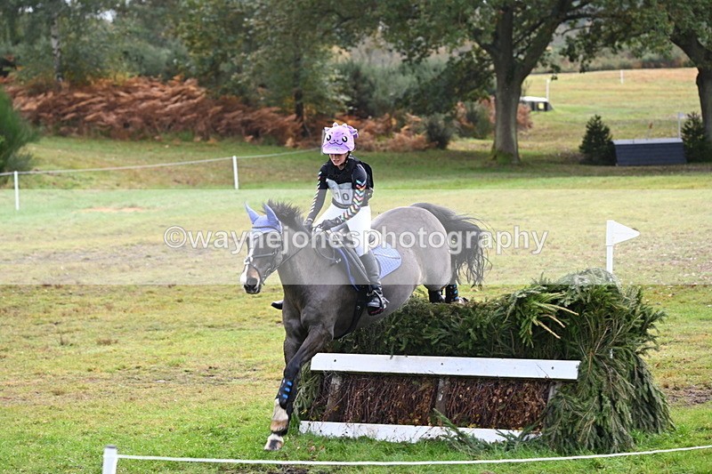 WJ6_1767 - 80cm Cam 1 Time 10:08 to 10:45