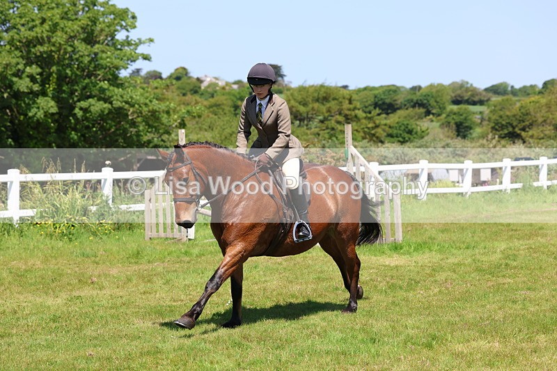 3E7A7283 - Class 30: Novice Working Hunter