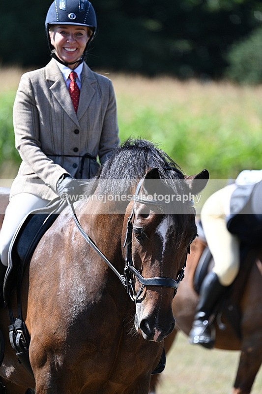 WJ7_3643 - Class 9 Mountain & Moorland Ridden