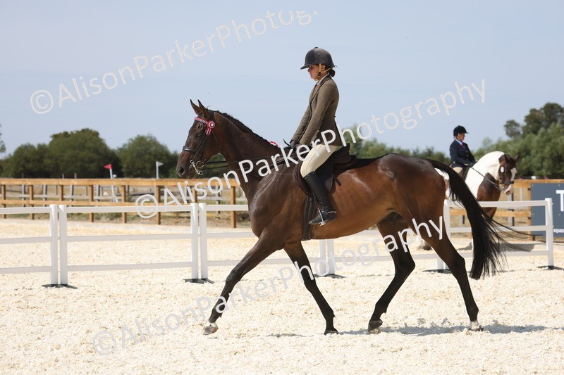 20260802-0751 - Class 8 - Best Riding Horse or Pony