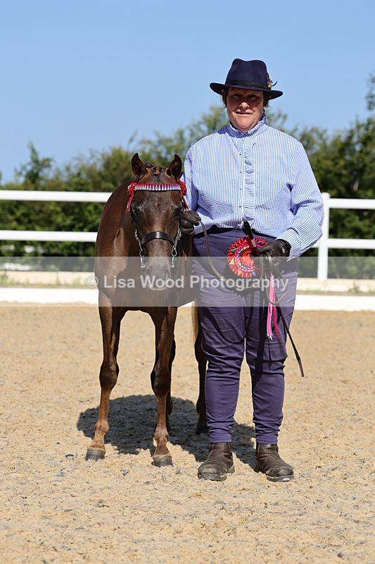 1X9A0705 - Class 3: Youngstock 1, 2, 3 year old not to exceed 153cm