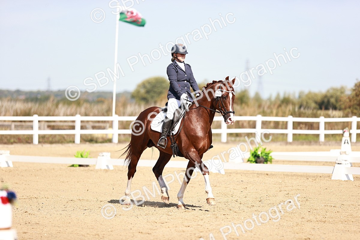 SBM_004434 - Class 12 - Novice 5 - 10.31-11.41