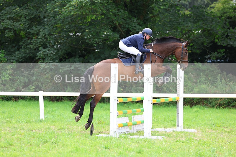 3E7A7394 - Class 5: Senior British Novice/90cm open