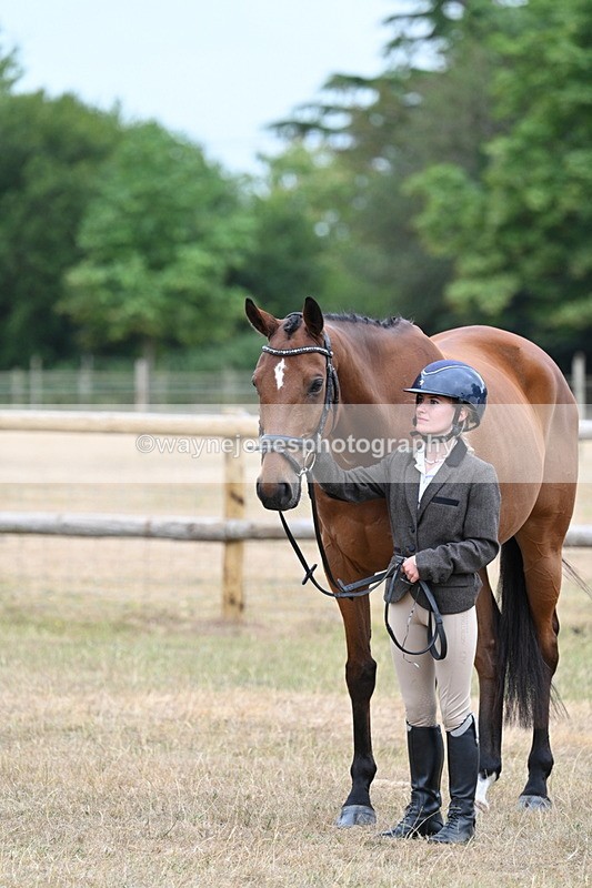 WJ7_0013 - Class 5a Most Handsome Gelding (above 14.2hh)