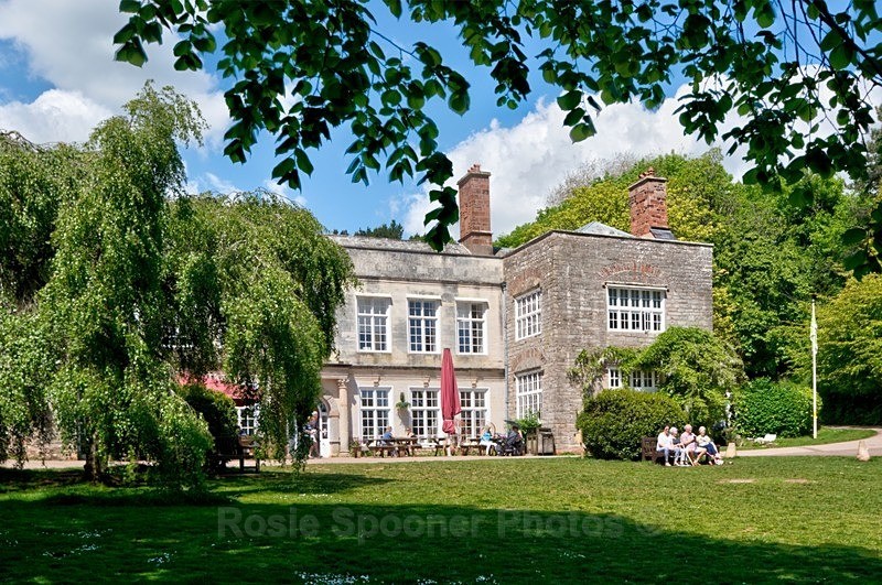Cockington Court - Cockington